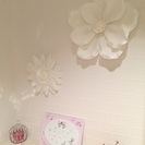 アイリスト募集☆の画像