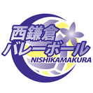 小学生バレーボール　部員募集！（鎌倉、藤沢周辺）