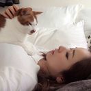 おともだちになってくれませんかー？？