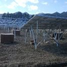 太陽光発電の現場です。