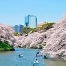 4月2日（日） お花見お散歩　赤坂、神田、飯田橋、靖国神社、千鳥...