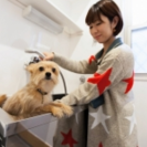 ペット可シェアハウス_国立＠国立市【新築】最寄り駅徒歩2分。立川駅まで2駅。国立駅までのアクセス抜群！ペット可のシェアハウス♪ − 東京都