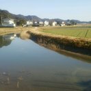 長閑な田園と小川を眺める売地