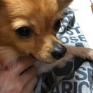 募集一時停止します。