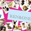 ｡♥｡･ﾟ♡ﾟ･｡ﾍﾟｯﾄｼｮｯﾌﾟｽﾀｯﾌ（犬/猫/小動物/ｱｸｱ）【杭瀬店】｡･ﾟ♡ﾟ･｡♥｡の画像