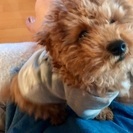 犬友♡ - 友達