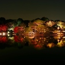 4月10日  オススメ！この時期にしか見れない幻想的な世界！庭園...