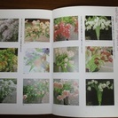 値下げします100￥🌼フラワーアレンジメント / 花の本 / 生け花の画像