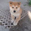 元気いっぱいです！