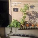 【吹田市】陶芸教室の生徒さんを募集しています。の画像