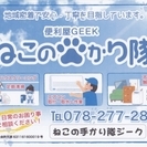  ☆ハウスクリーニング☆ ★エアコンクリーニング★