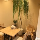 オープニングスタッフ募集！！の画像
