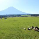 enjoy mix フットサル♪　毎週日曜日　参加者募集♪　フットサルポイント川口　室内コート　3時間 − 埼玉県