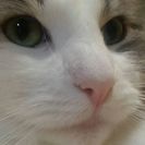はじめまして、女友達募集してます。