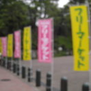 ◎◎「５月２１日（日）あらかわ遊園前広場　フリーマーケット」◎◎