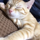 10月産まれの女の子です