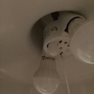 MUJIペンダントライト！！LEDライト・延長コード付き！の画像