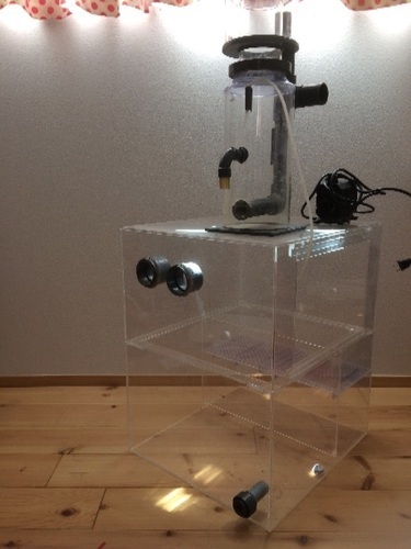 濾過層 スキマー セット