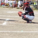 静岡軟式野球Club静岡Fellows