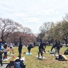 【H29.5.3祝日】青空の下☆パークyoga☆