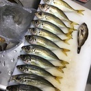 釣りのチームを作りたいです