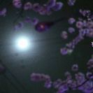ユースフォトグラファー − 山口県