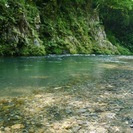 5月5日(5/5)  気持ちいい午前中に！毎回大好評！歩くだけで...