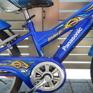 パナソニック自転車Rider Jr. キッズバイク 22インチ Panasonic RIDER JR 22インチ 6段変速付 高級ジュニアマウンテン