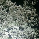 大分カラオケさん
