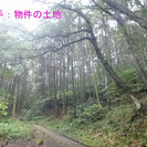 売地 山林 福岡市 東区 - 福岡市