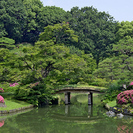 5月10日(5/10)  この時期にしか見れない幻想的な世界！庭...