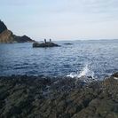 クロダイ釣りご一緒に行きませんか。