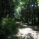 田舎大好き