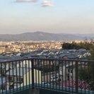 お祭りだよ全員集合
