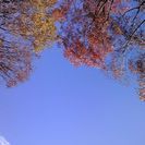 開催中止のお知らせ