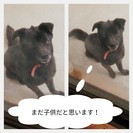 大切に育ててくれる方！