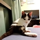 里親さんを探しています。男の子です。