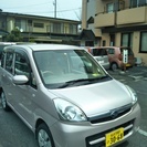緊急値下げ！！！車検満タンステラの画像