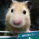 5/6急募　上野近辺 18～31歳くらいの方
