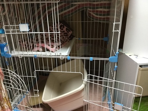 5月7日18:58お取引中になりました。ご了承下さい。猫のゲージ2段