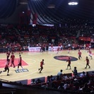 5/27 Bリーグの決勝戦に一緒に行ってくれる方募集 - 世田谷区