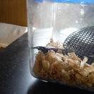 ヒラタクワガタなどの幼虫　成虫の里親を探しています。