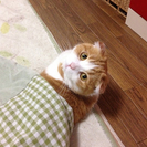 矢向駅から徒歩8分！動物好きな方必見！ペット可シェアハウスですの画像