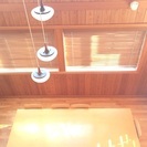 ワークショップ by 花野の教室の画像