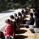 英語で散策：国家資格を持った通訳案内士と一緒に、日本の文化・歴史、英語表現を学びながら楽しく散策。ご案内は日本語です。の画像