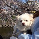 ママ友さん(*^^*)募集