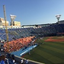 ベイスターズの応援に行きませんか。
