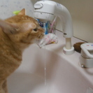 ❝水もれ/つまり❞ あなたの街の水道工事専門店 ホームメンテナン...