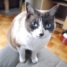 かわいがってくれる方を探しています！