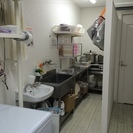 高齢者にお弁当と笑顔をお届けするスタッフ大募集！の画像